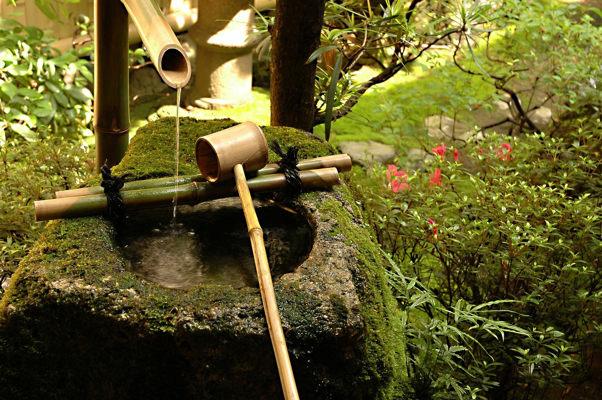 Ryokan Motonago Kioto Zewnętrze zdjęcie